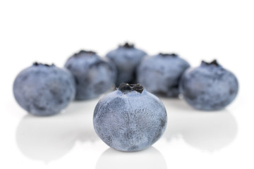 Group of six whole fresh blue bilberry isolated on white background