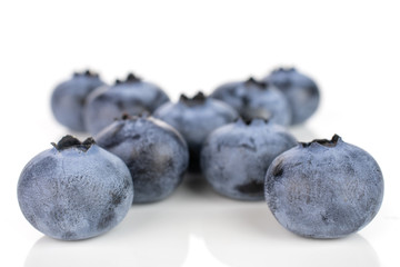 Group of nine whole fresh blue bilberry isolated on white background
