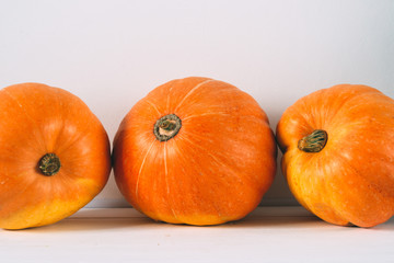Large pumpkins on white background, autumn mood ,space for text, white background