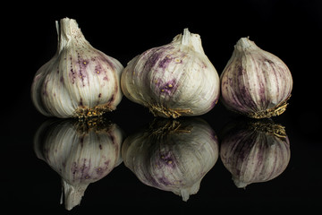 Group of three whole organic white garlic allium sativum isolated on black glass