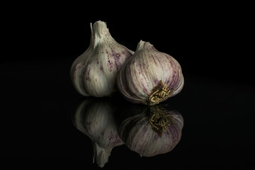 Group of two whole organic white garlic allium sativum isolated on black glass
