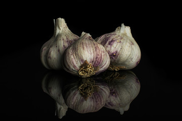 Group of three whole organic white garlic allium sativum isolated on black glass