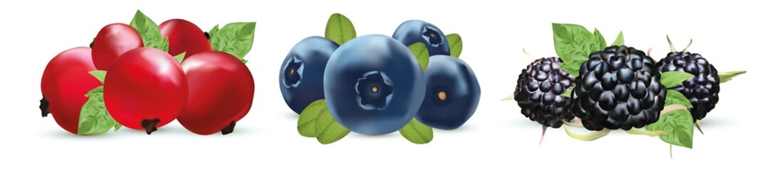 Set summer berry.Blueberry, blackberry and red currant berry with green leaf isolated on white background. 3d realistic berry. Vector illustration.