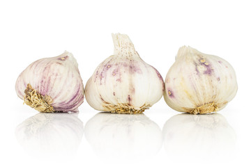 Group of three whole organic white garlic allium sativum in row isolated on white background