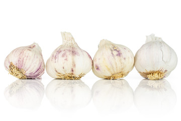 Group of four whole organic white garlic allium sativum isolated on white background