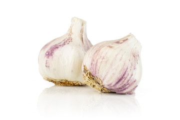 Obraz premium Group of two whole organic white garlic allium sativum isolated on white background