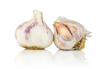 Group of two whole organic white garlic allium sativum isolated on white background