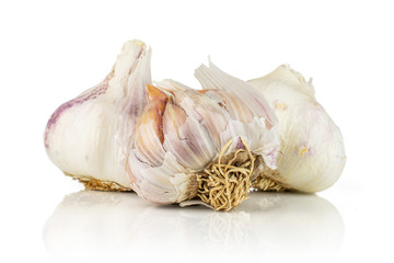 Group of three whole organic white garlic allium sativum isolated on white background