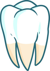 Cute and funny tooth in cartoon style for education picture