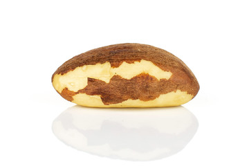 One whole raw brown brazil nut isolated on white background