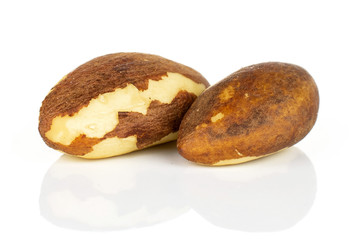 Group of two whole raw brown brazil nut isolated on white background