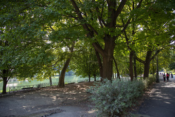 Fototapeta premium The river Po in Turin, Italy, seen from the Valentino park.