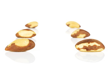 Group of six whole raw brown brazil nut isolated on white background