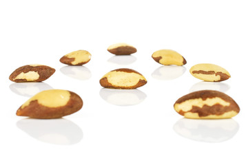 Group of eight whole raw brown brazil nut isolated on white background