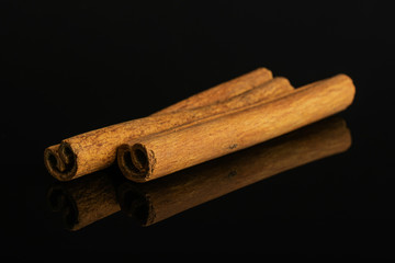 Group of two whole dry brown cinnamon isolated on black glass