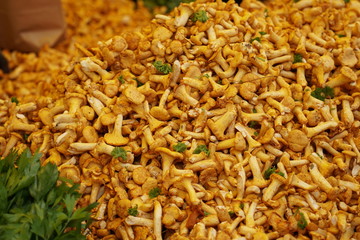 Pfifferlinge