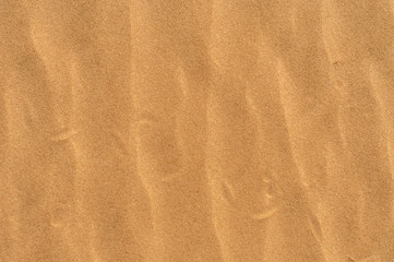 Fototapeta na wymiar Golden texture of the soft sand 