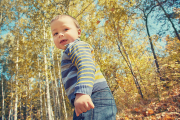 outdoor portrait of baby in an autumn park. walking little boy.