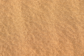 Fototapeta na wymiar Texture of the golden sand 