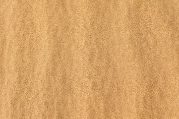 Rain drops in the golden sand 