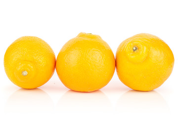 Group of three whole fresh orange tangelo minneola isolated on white background