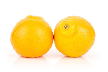 Group of two whole fresh orange tangelo minneola isolated on white background