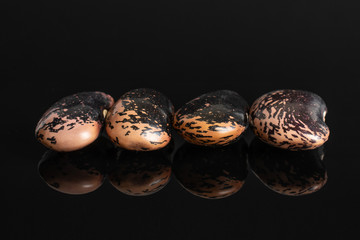 Group of four whole stained purple bean isolated on black glass