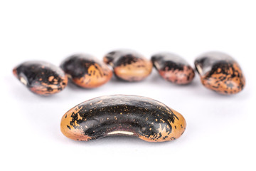 Group of six whole stained purple bean isolated on white background