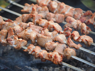 grilled meat cooked on the grill