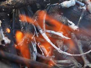 fire and coals in a fire