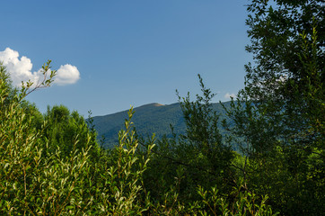 połonina Wetlińska Bieszczady
