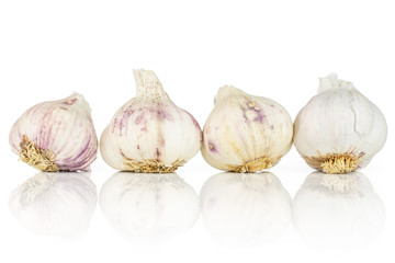 White organic garlic isolated on white