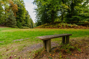 Wooden bench in park