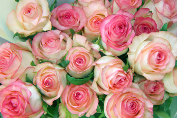 bouquet of roses as background