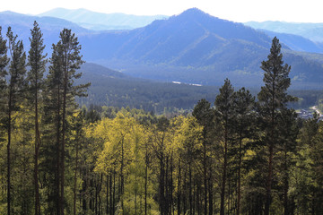 boundless expanses of the Siberian taiga