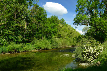 au bord de la rivière, au bord de la rivière La Loue, Doubs, France