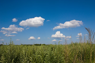 Near the Village of Malakhovo_23
