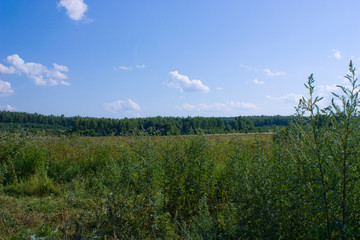 Near the Village of Malakhovo_24