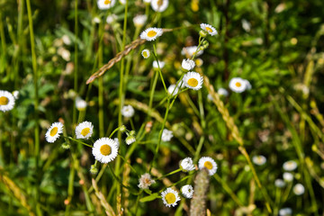 Near the Village of Malakhovo_25