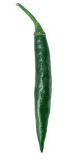 green chilli isolated on white background