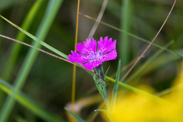 Near the Village of Malakhovo_31