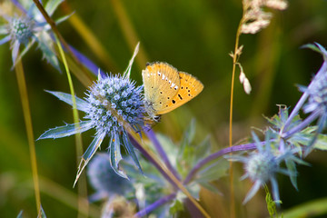 Near the Village of Malakhovo_32