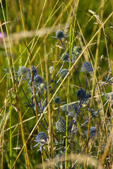 Near the Village of Malakhovo_33