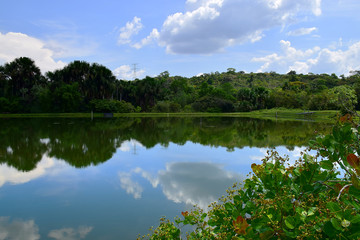 Fototapeta na wymiar Manaus, Amazonas - Brazil
