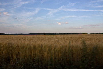 Near the Village of Malakhovo_42