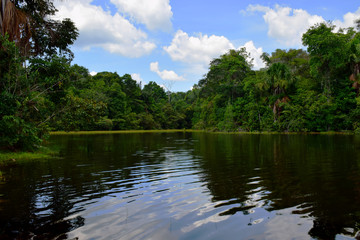 Manaus, Amazonas - Brazil