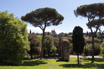 Ruins of the Aqua Claudia aqueduct, Palatine Hill, Roman Forum, Rome, Italy.