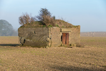 Derelict World War 2 pillbox in a field near Dover,UK. Bushes are growing on the roof.