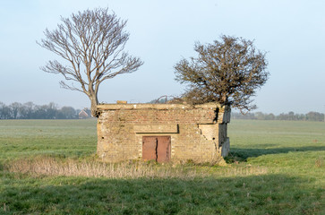 Old World War 2 pillbox in a field near Dover,UK. Small trees are growing on the roof.