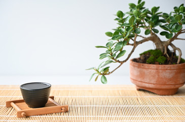 sake Japanese and Chinese style on table Copy space